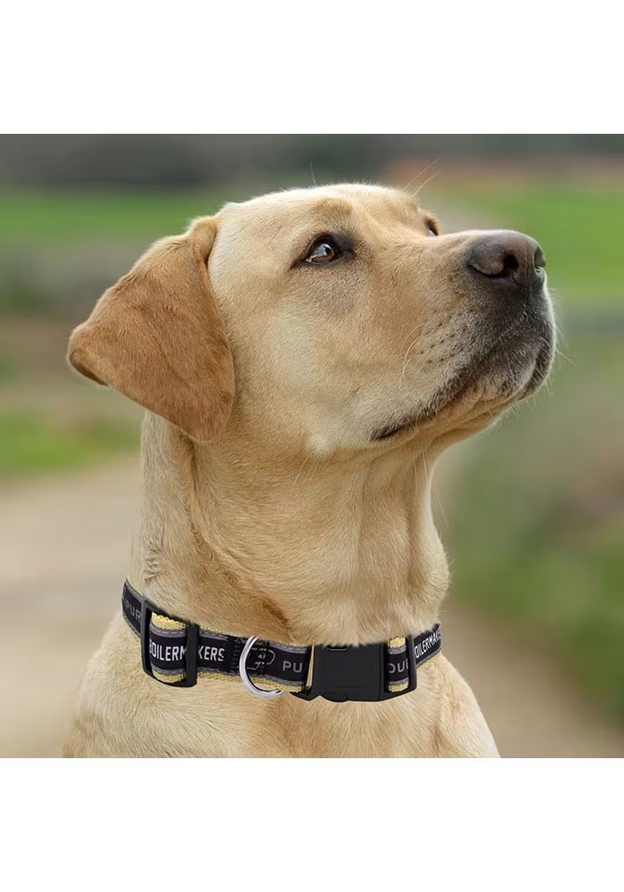 Black Purdue Boilermakers Satin Pet Collar
